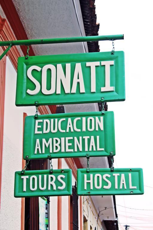 לאון Hostal Sonati מראה חיצוני תמונה